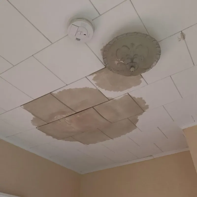 Ceiling Water Damage Repair in Tybee Island, GA