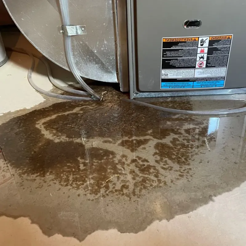 Pipe Burst and Leak Restoration in Tybee Island, GA
