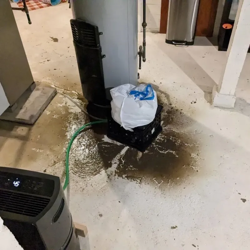 Sewage Backup Cleanup Service in Tybee Island, GA